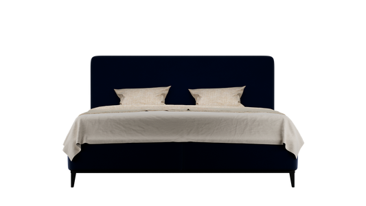 CUADRO 10 PATA PRAGA