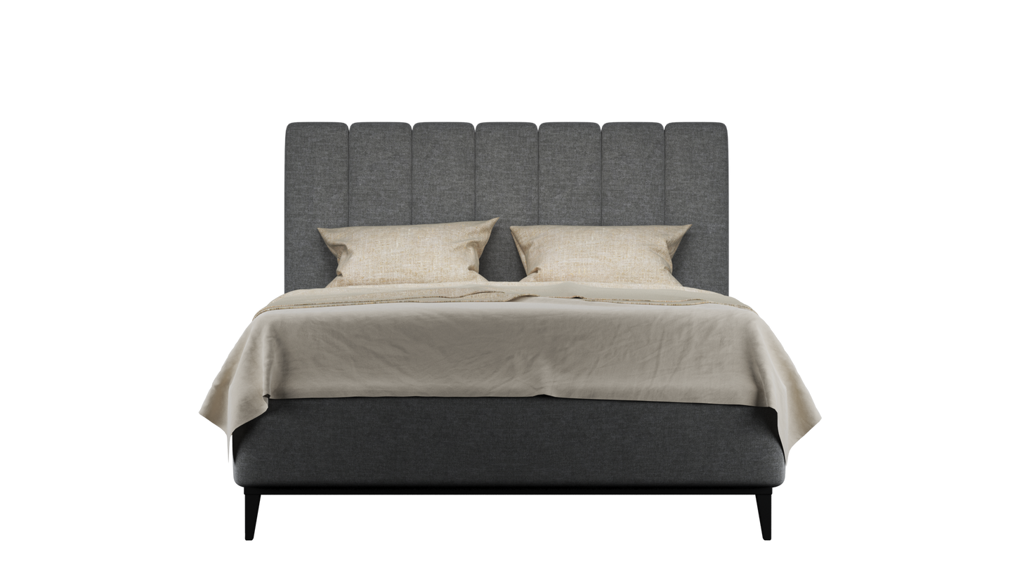 CUADRO 10 RAYAS PATA PRAGA