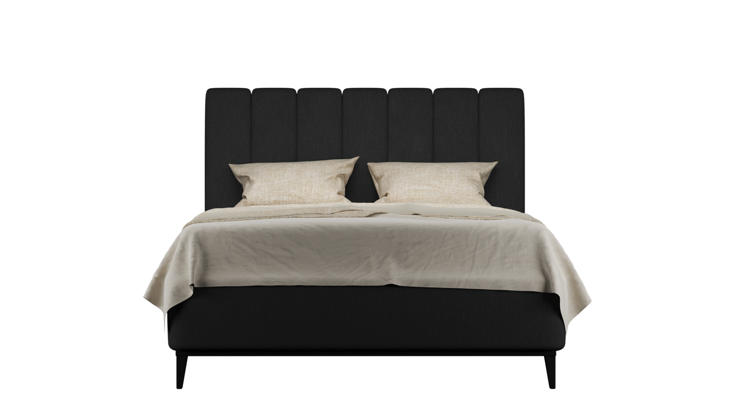 CUADRO 10 RAYAS PATA PRAGA