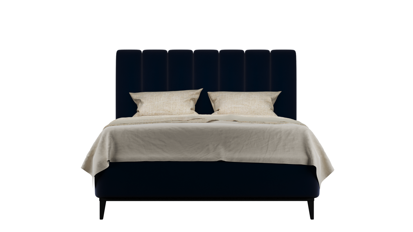 CUADRO 10 RAYAS PATA PRAGA