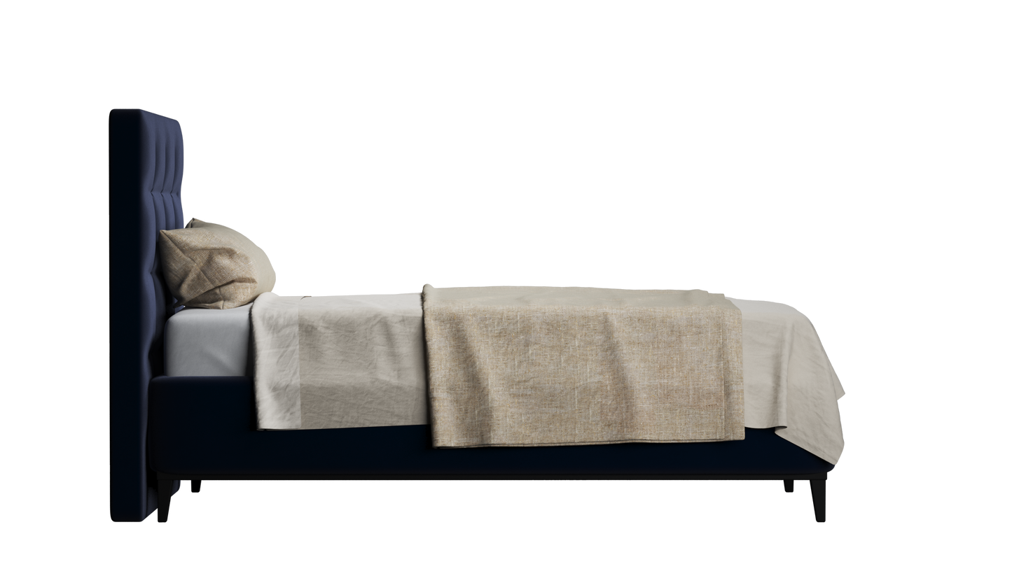 CUADRO 10 CAPITON PATA PRAGA