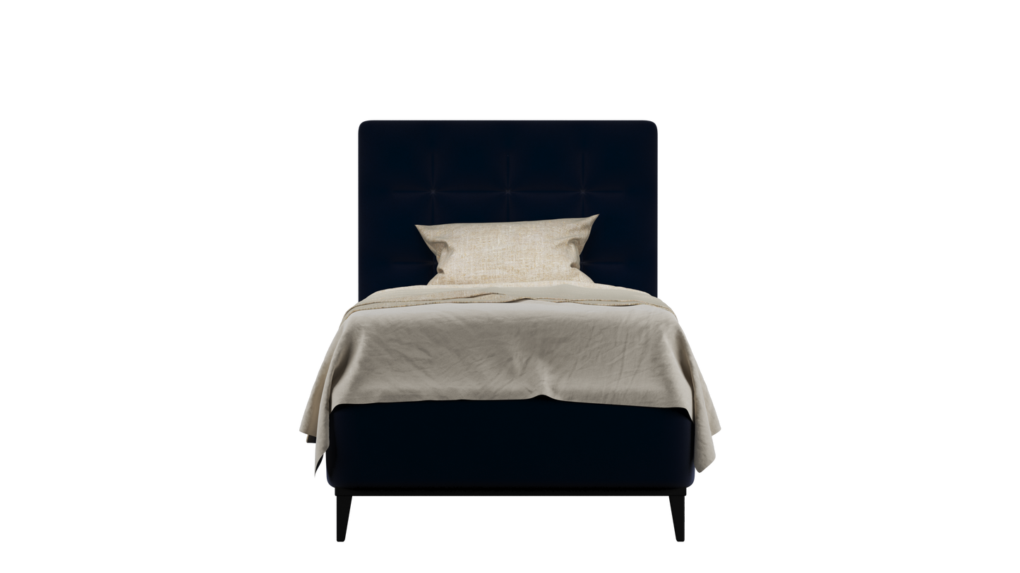 CUADRO 10 CAPITON PATA PRAGA