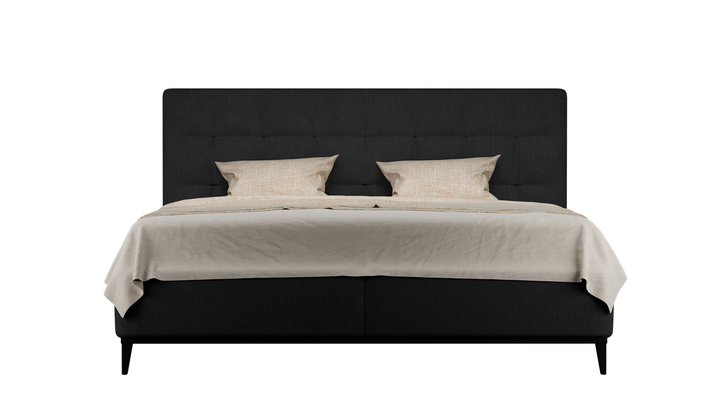 CUADRO 10 CAPITON PATA PRAGA