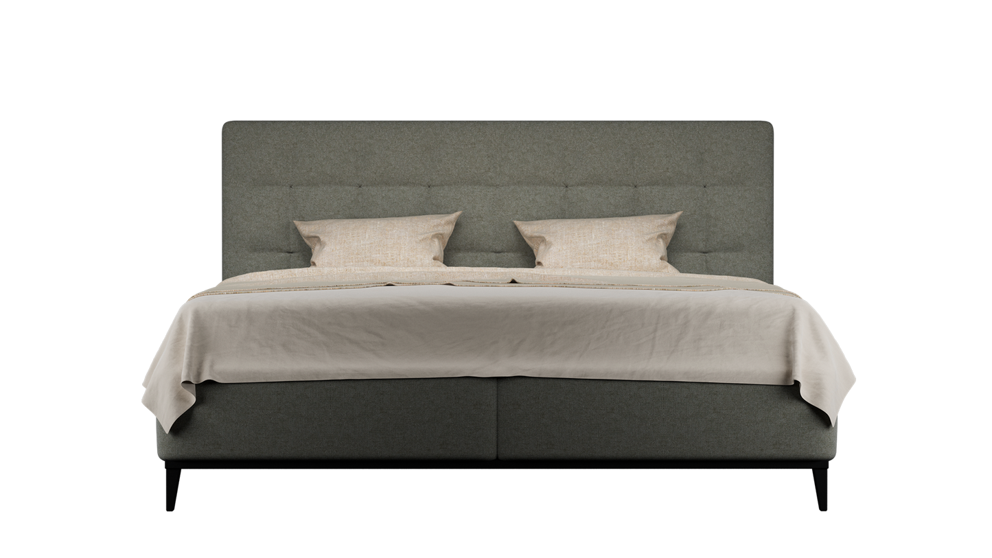 CUADRO 10 CAPITON PATA PRAGA