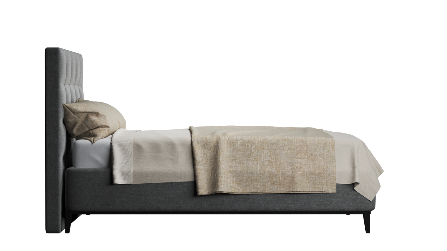 CUADRO 10 CAPITON PATA PRAGA