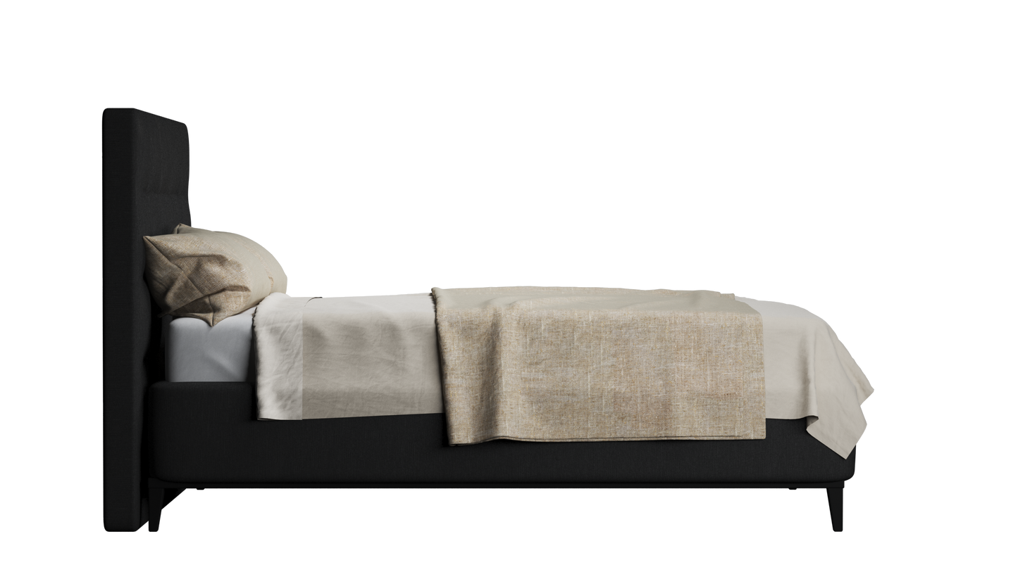 CUADRO 10 CAPITON PATA PRAGA