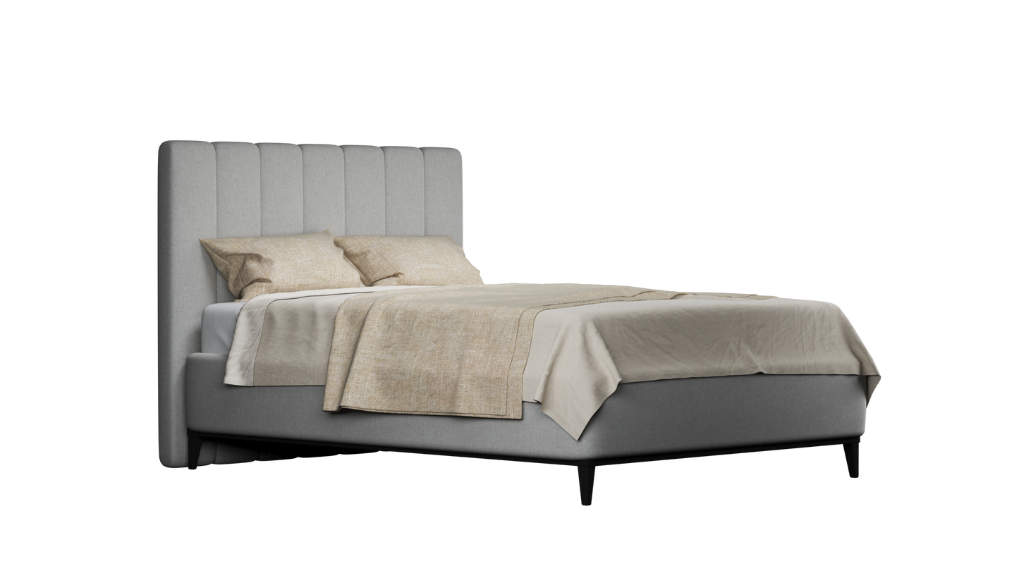 CUADRO 10 RAYAS PATA PRAGA