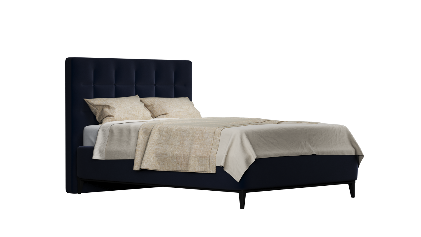 CUADRO 10 CAPITON PATA PRAGA