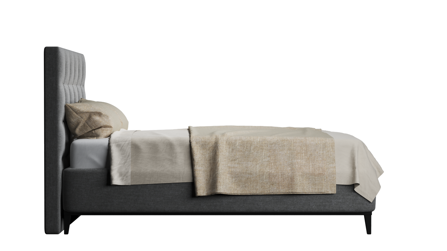 CUADRO 10 CAPITON PATA PRAGA