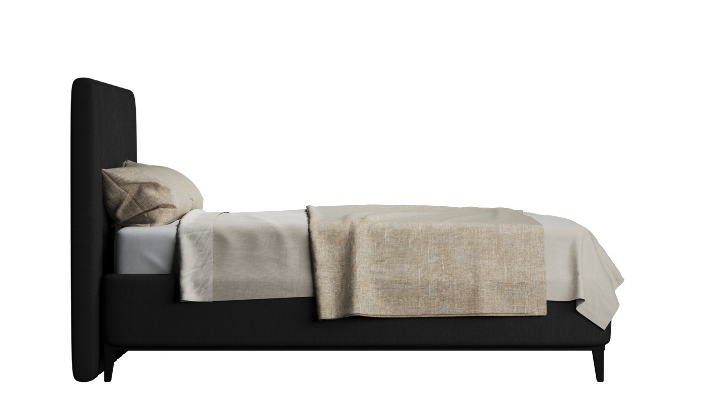 CUADRO 10 RAYAS PATA PRAGA