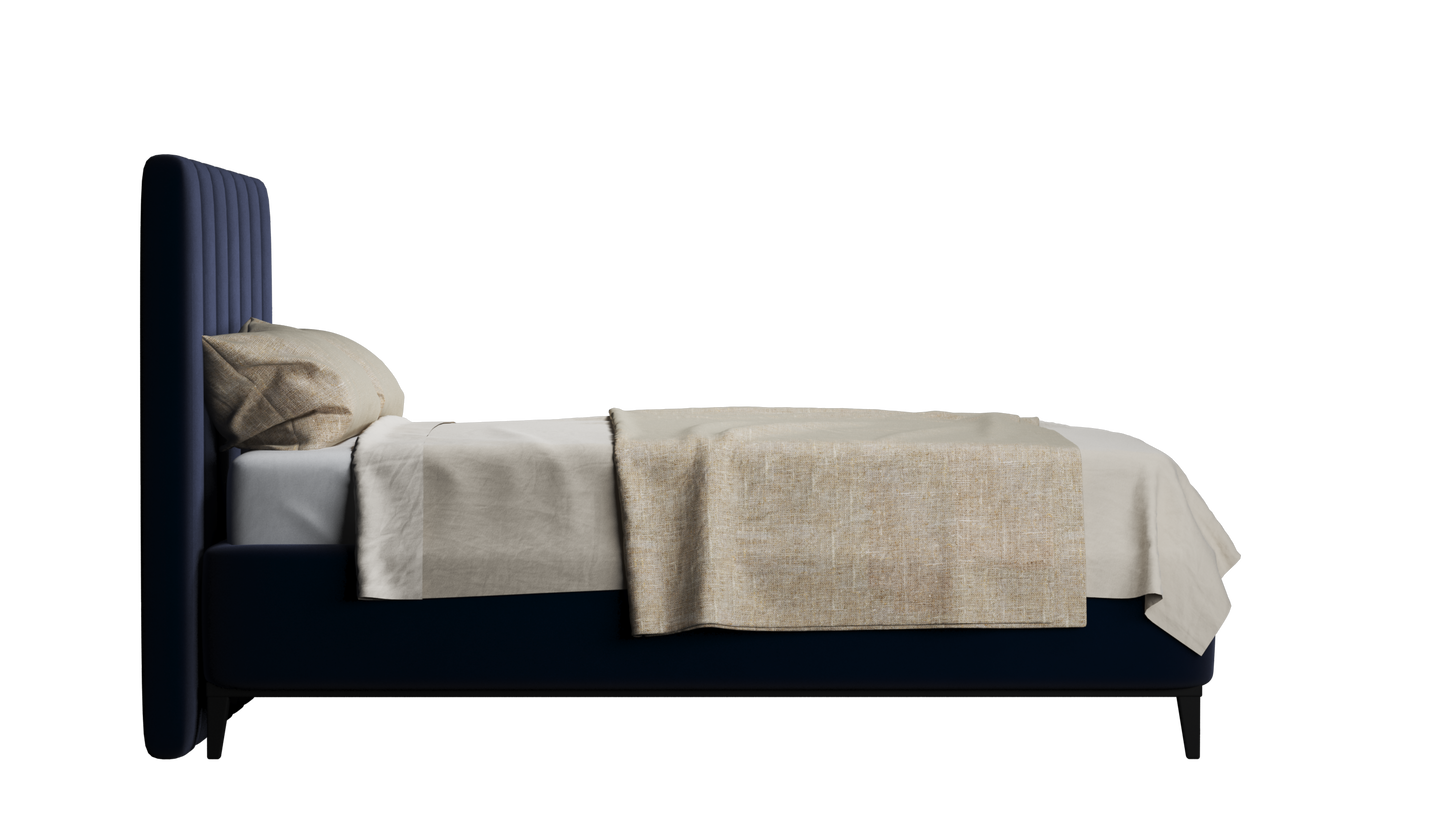 CUADRO 10 RAYAS PATA PRAGA