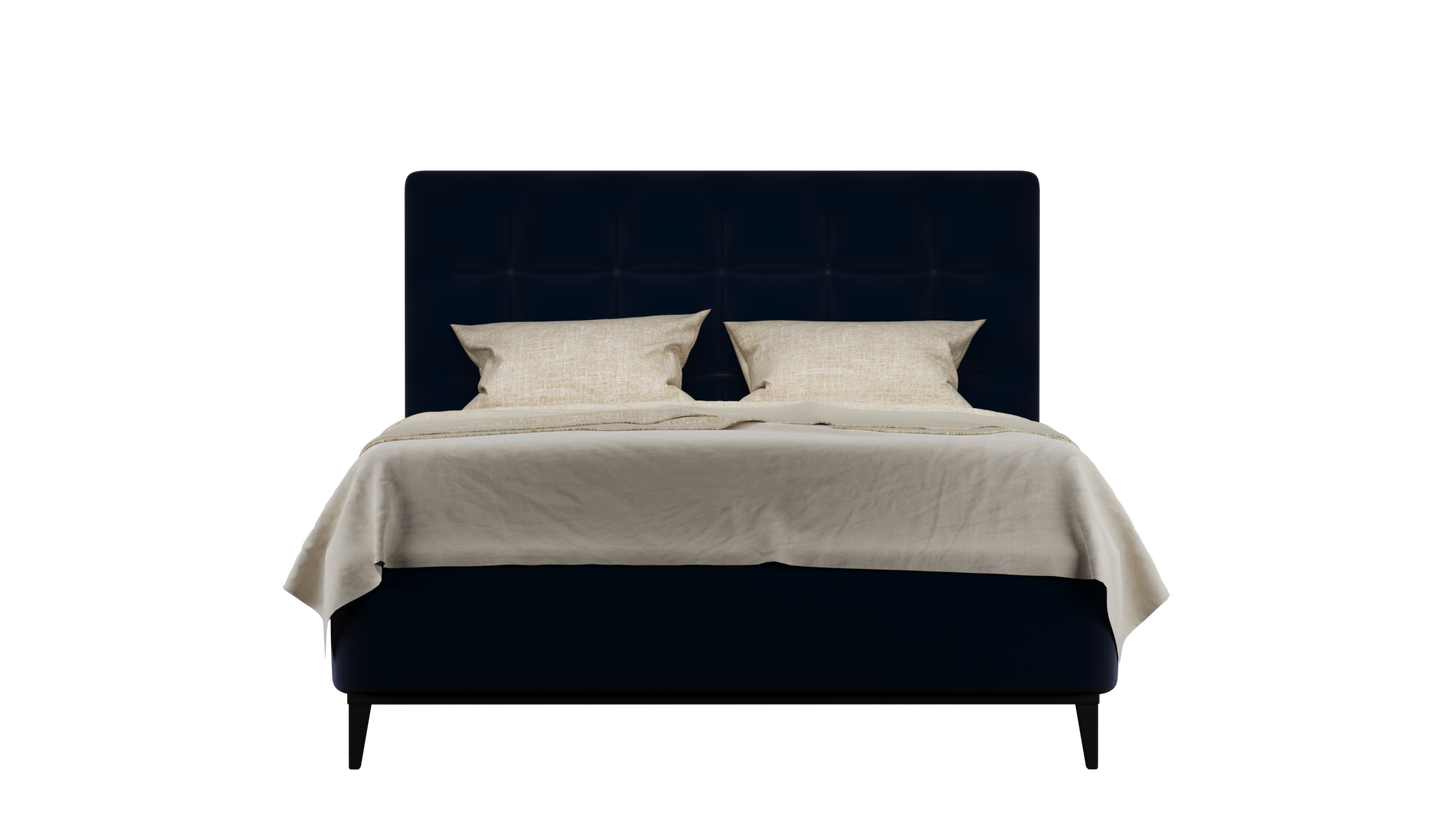 CUADRO 10 CAPITON PATA PRAGA