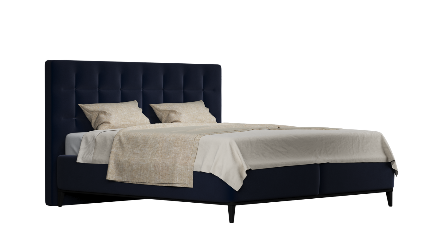 CUADRO 10 CAPITON PATA PRAGA