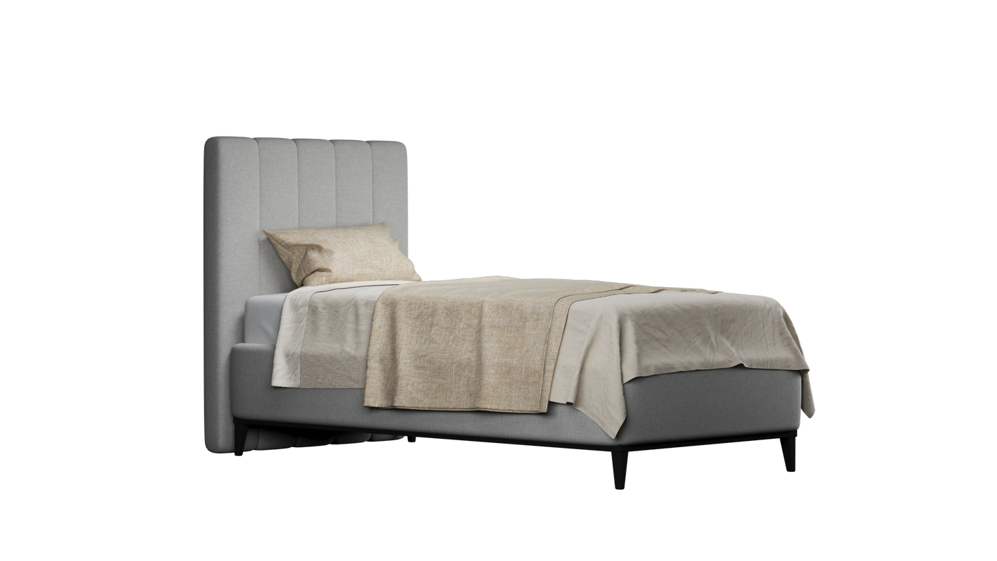 CUADRO 10 RAYAS PATA PRAGA