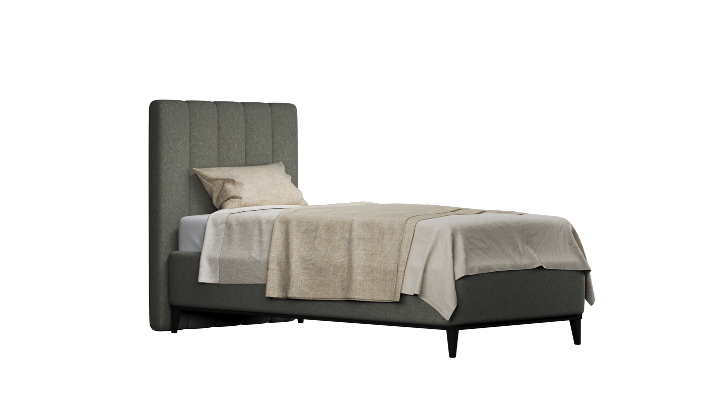 CUADRO 10 RAYAS PATA PRAGA