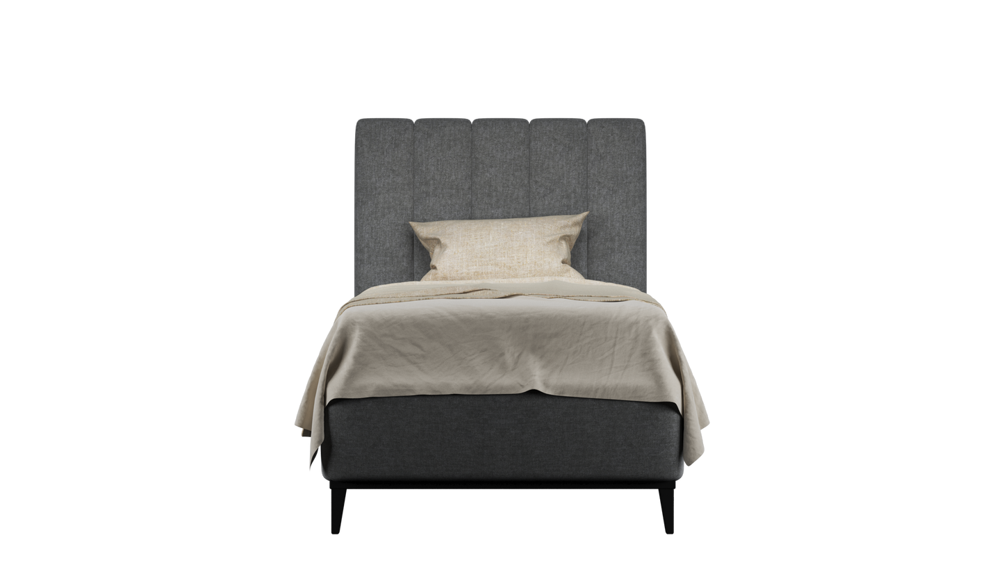 CUADRO 10 RAYAS PATA PRAGA