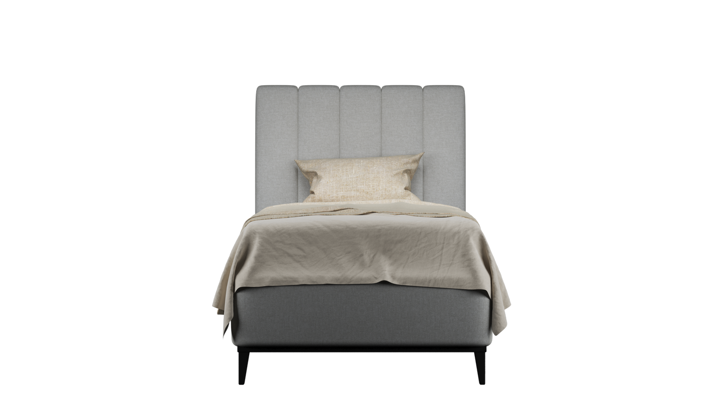 CUADRO 10 RAYAS PATA PRAGA