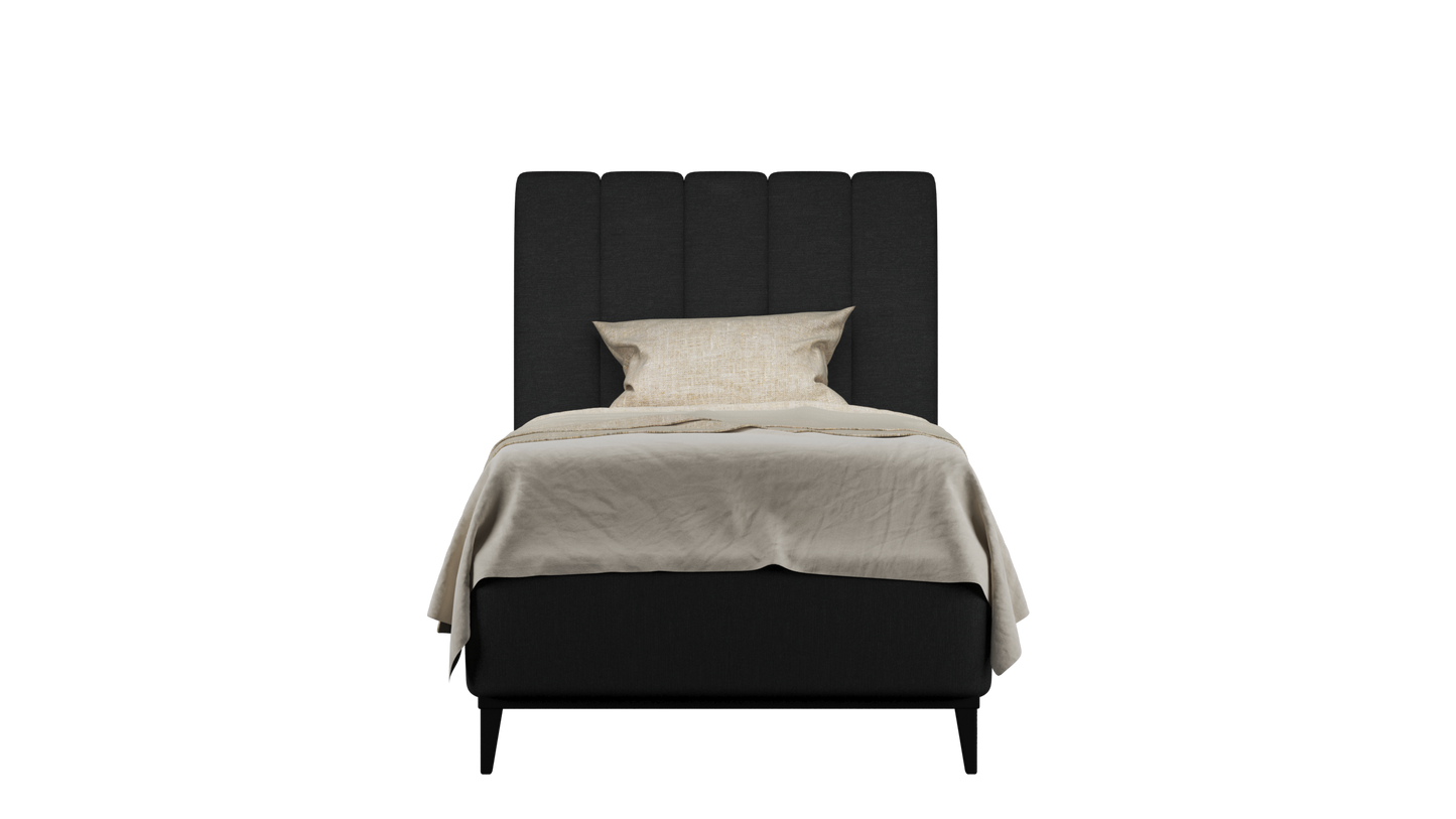 CUADRO 10 RAYAS PATA PRAGA