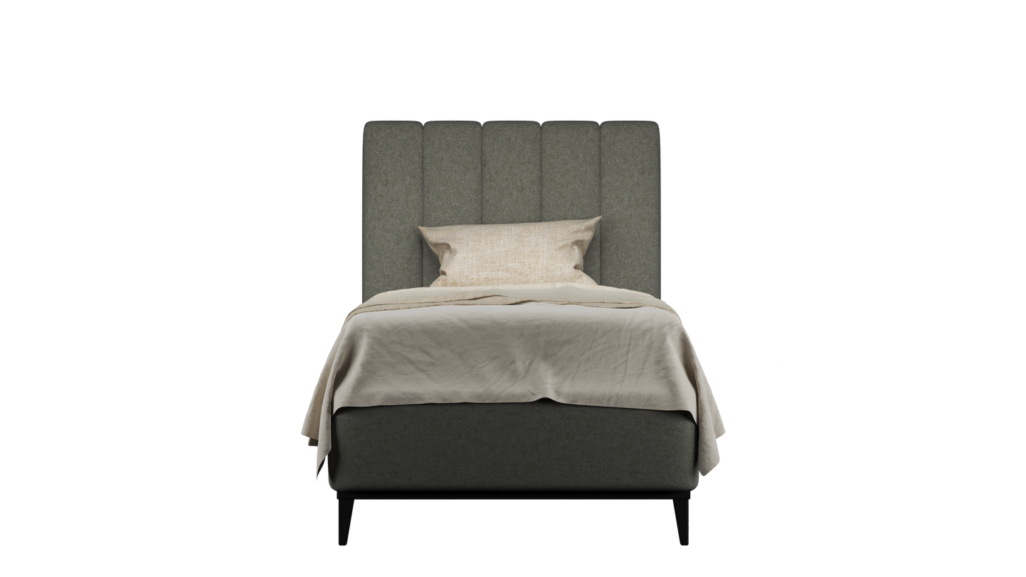 CUADRO 10 RAYAS PATA PRAGA