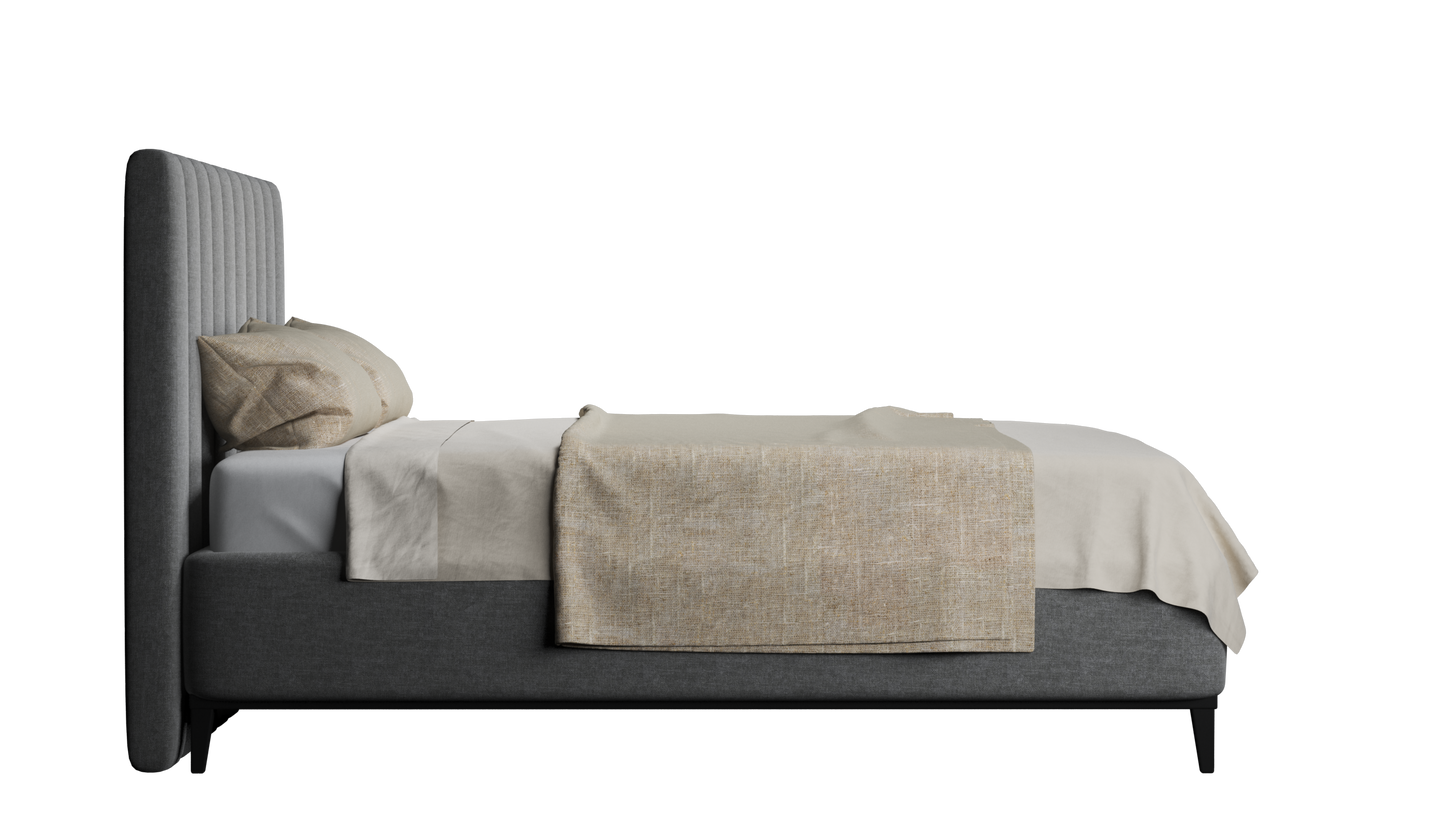 CUADRO 10 RAYAS PATA PRAGA