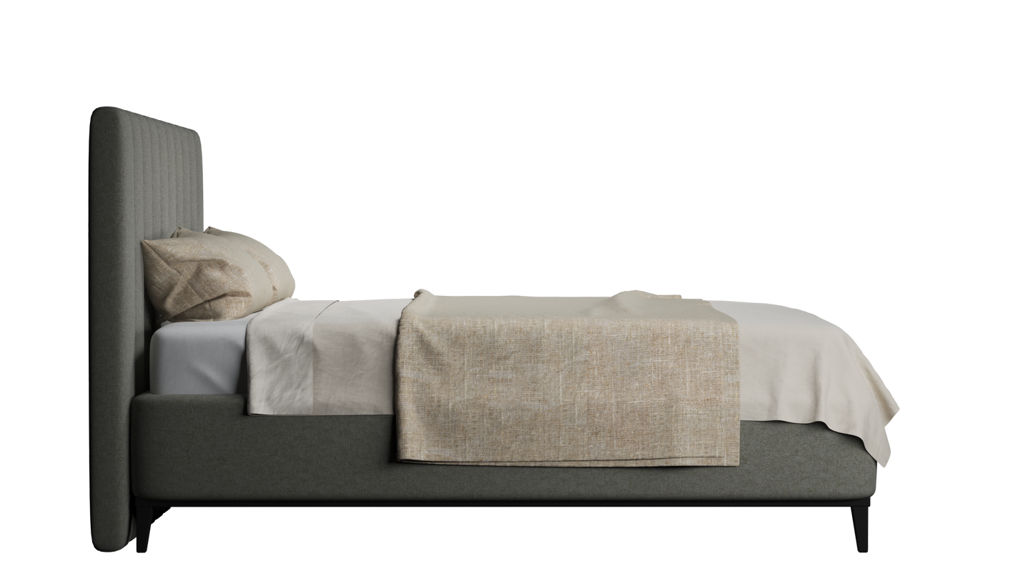 CUADRO 10 RAYAS PATA PRAGA