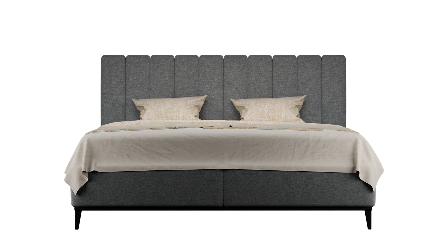 CUADRO 10 RAYAS PATA PRAGA