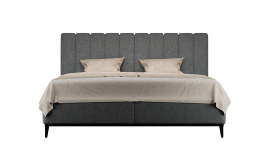 CUADRO 10 RAYAS PATA PRAGA