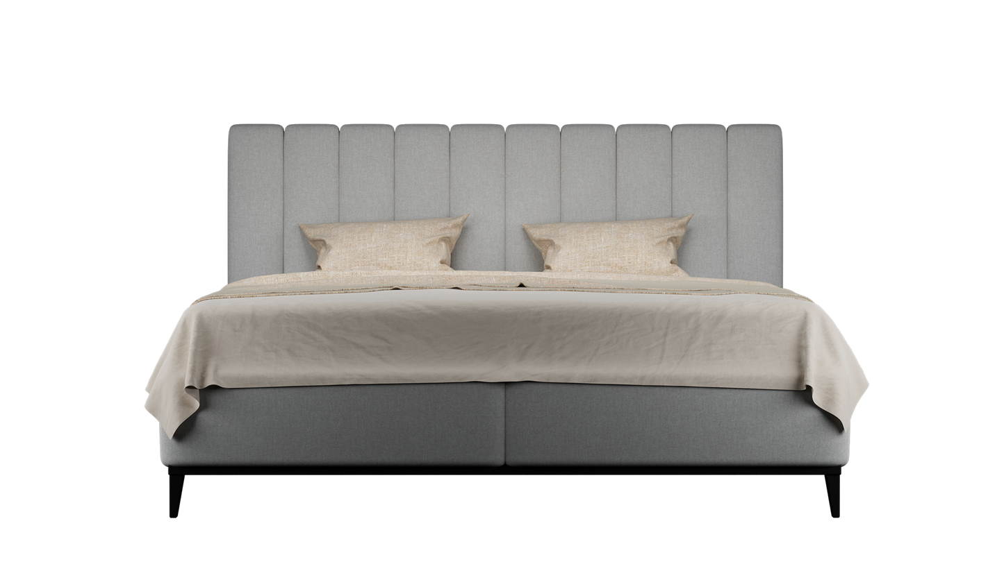 CUADRO 10 RAYAS PATA PRAGA