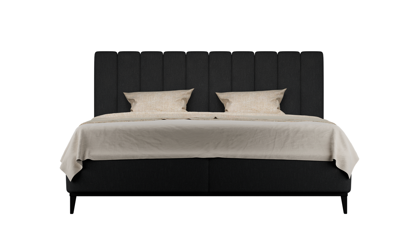 CUADRO 10 RAYAS PATA PRAGA