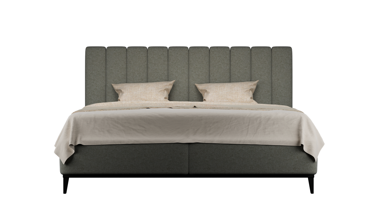 CUADRO 10 RAYAS PATA PRAGA