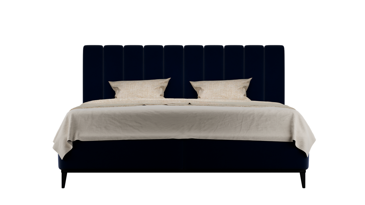 CUADRO 10 RAYAS PATA PRAGA