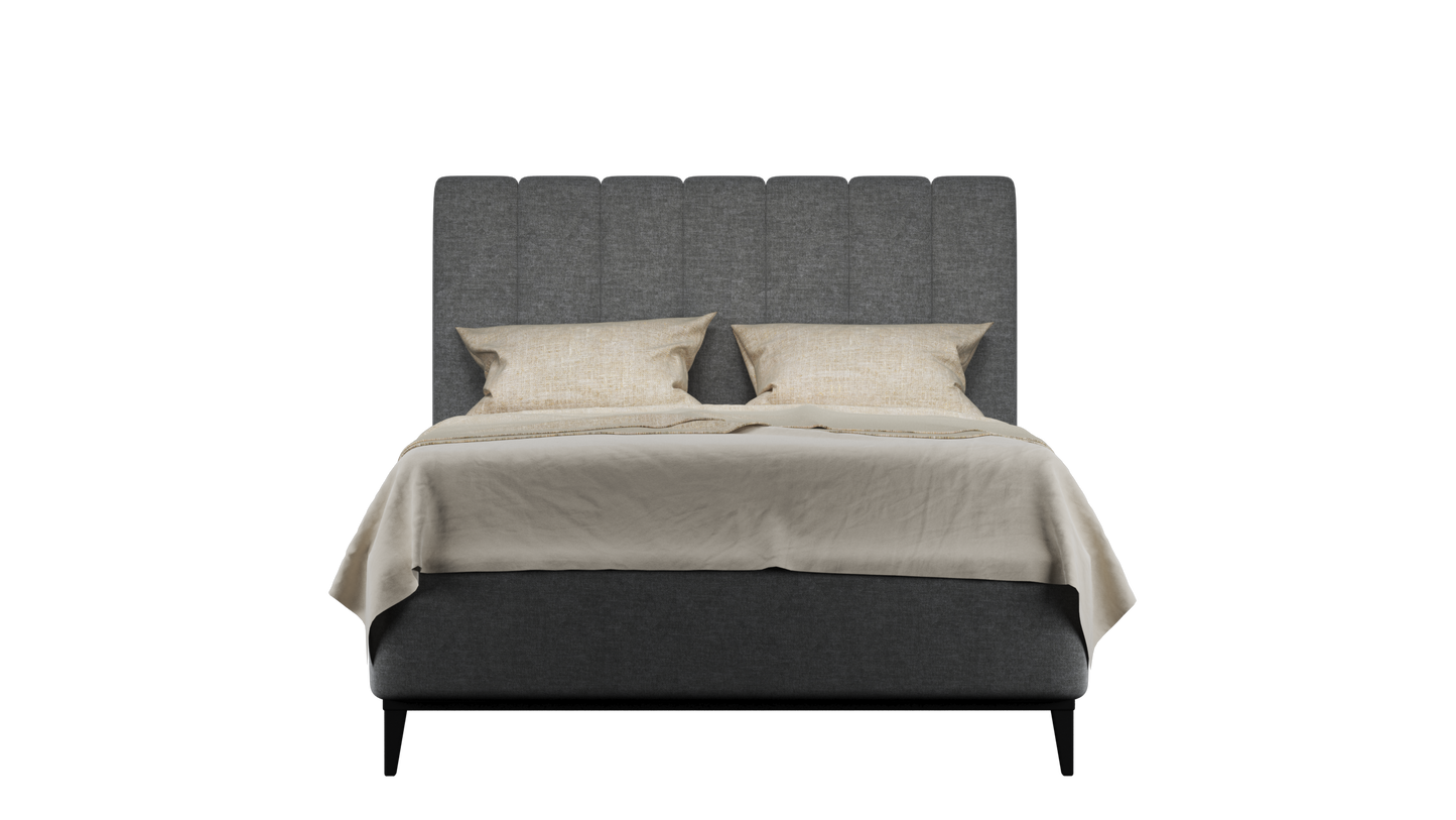 CUADRO 10 RAYAS PATA PRAGA