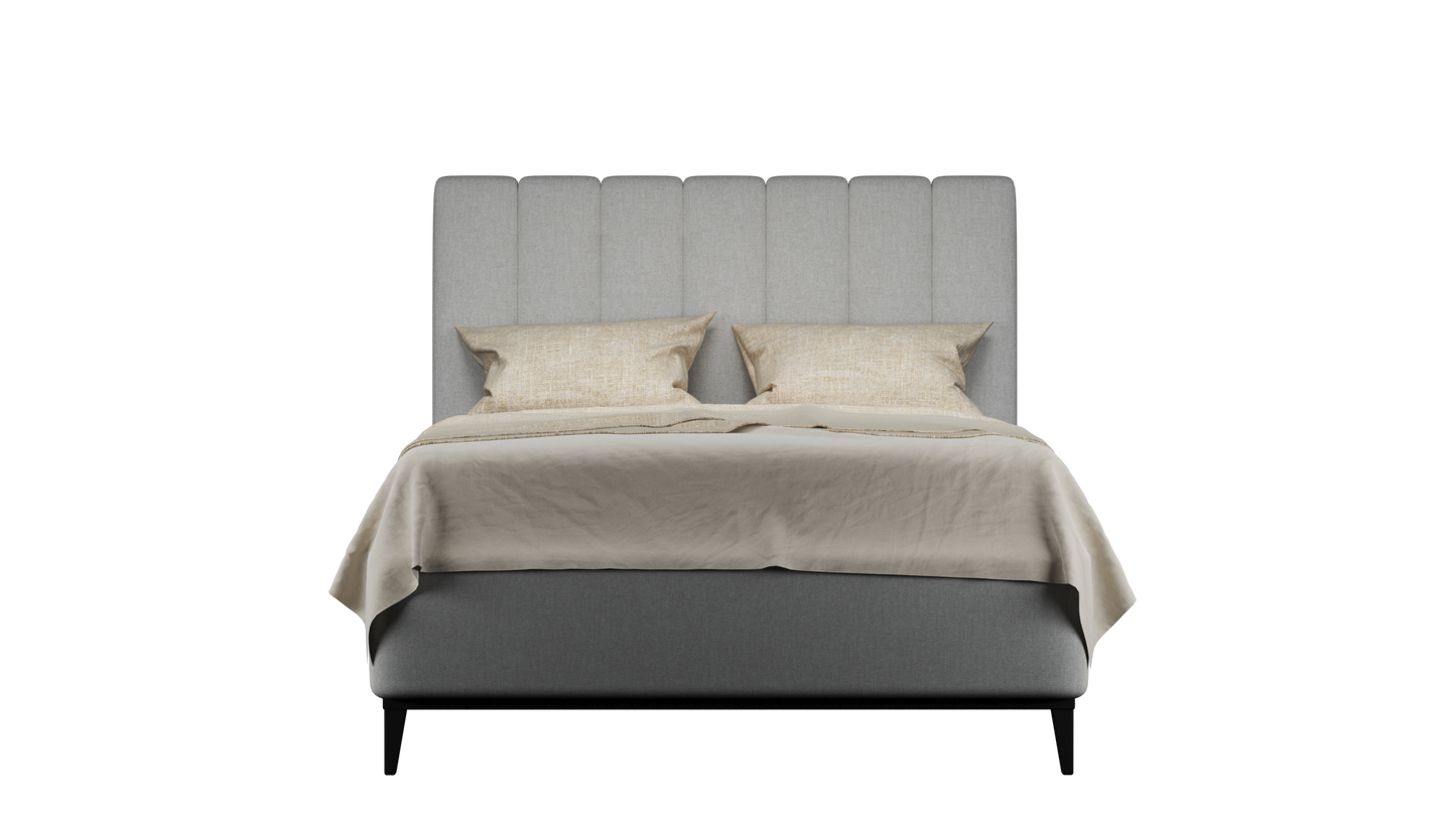 CUADRO 10 RAYAS PATA PRAGA