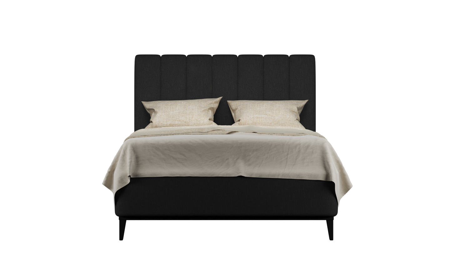 CUADRO 10 RAYAS PATA PRAGA