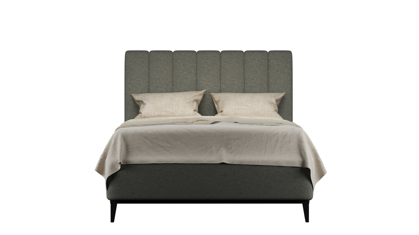 CUADRO 10 RAYAS PATA PRAGA