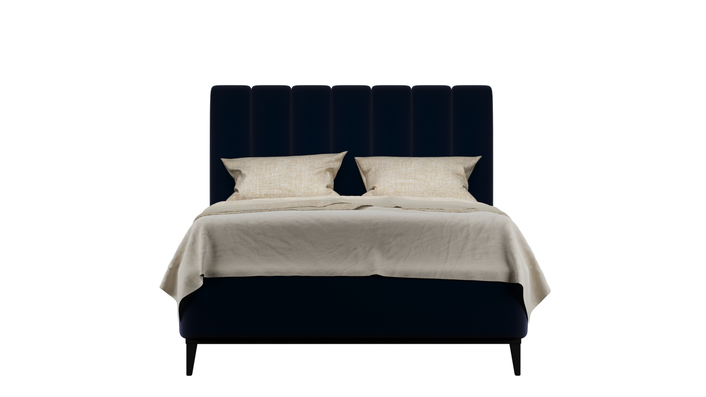 CUADRO 10 RAYAS PATA PRAGA