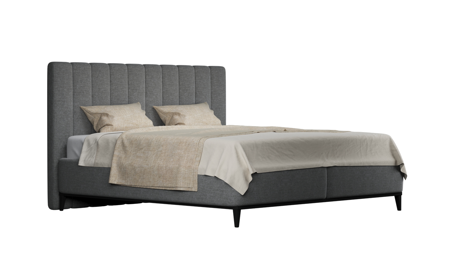 CUADRO 10 RAYAS PATA PRAGA