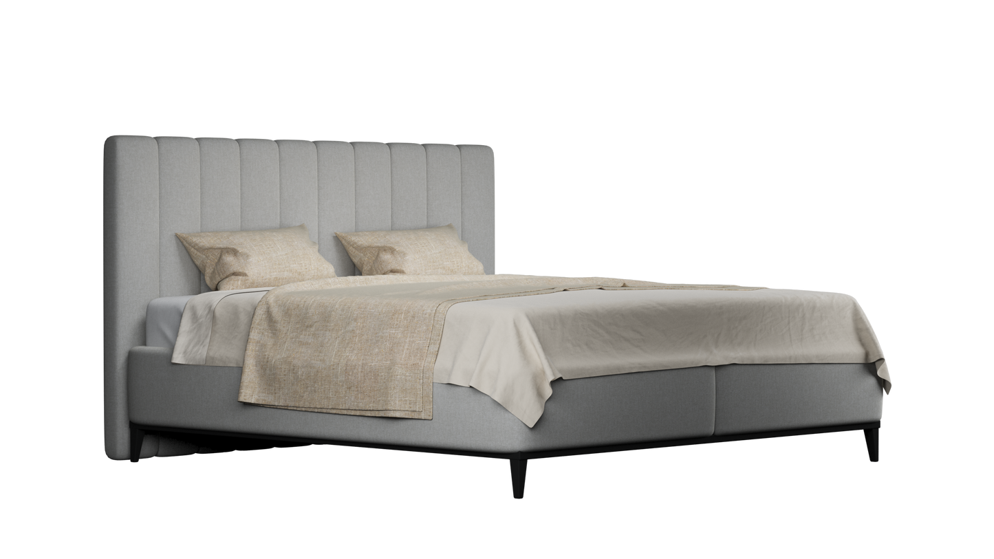 CUADRO 10 RAYAS PATA PRAGA